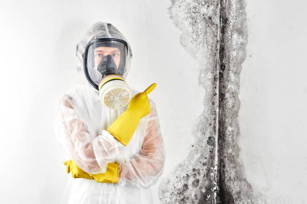 Best Mold Remediation for Healthcare Facilities in Fairview Park, OH